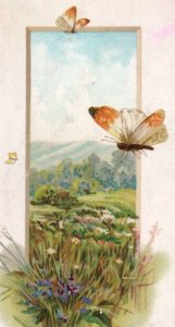 1870s-80s Victorian Christmas Bookmark Orange & White Butterfly #2 P184