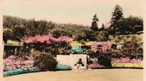 Vintage Postcard 1920's Rose Garden Butchart's Garden Victoria British Columbia