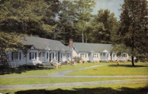 Pocono Pines, Pennsylvania, Honeymoon Lodges At Pocono Crest, Vintage, AA356-30