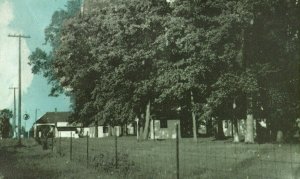 C.1910-20 Marcus Grove Camp No. 2 Highway East of Windsor, Onatrio Postcard F1