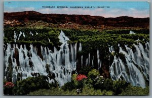 Postcard Hagerman Valley ID c1940s Thousand Springs Snake River Canyon