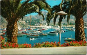 Avalon Bay Catalina Island CA Boats 1960s Postcard F29 