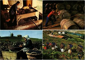 ALCOHOL WINE PRODUCTION 300 MODERN Postcards mostly FRACE (L2327)