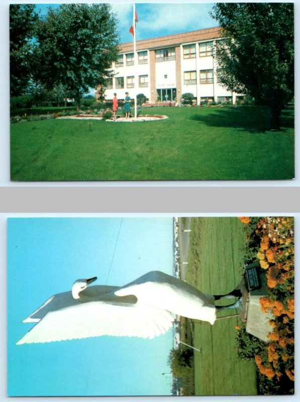 2 Postcards GRANDE PRAIRIE, Alberta Canada ~ COURT HOUSE & Trumpeter Swan 1960s