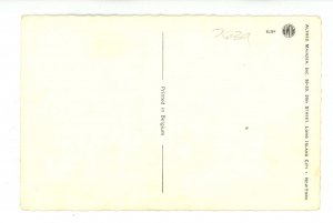 Mainzer Dressed Cats - Leapfrog Exercise