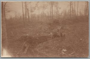 GERMAN 1916 WWI ANTIQUE REAL PHOTO POSTCARD RPPC w/ DOG