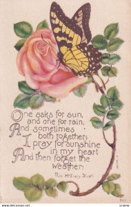 1900-1910s; Butterfly On A Rose, Poem
