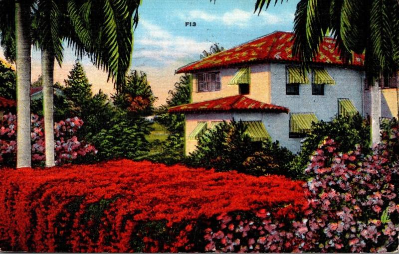 Florida Spanish Type Home and Flame Vine 1941