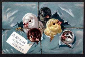 U.S. 1909 Easter Postcard!
