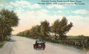 Vintage Postcard 1920's Splendid County Roads Alfalfa Fields Near El Paso Texas