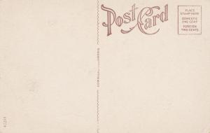 Genesee River Looking South - Letchworth State Park, New York WB