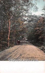 In the Woods in Manchester, New Hampshire