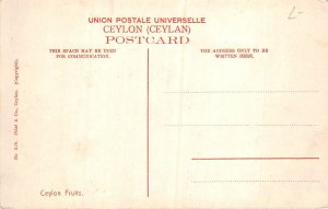 Lot335 ceylon fruits sri lanka types folklore