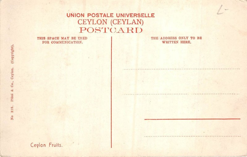 Lot335 ceylon fruits sri lanka types folklore