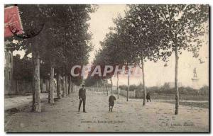 Ancenis Old Postcard Boulevard Joubert