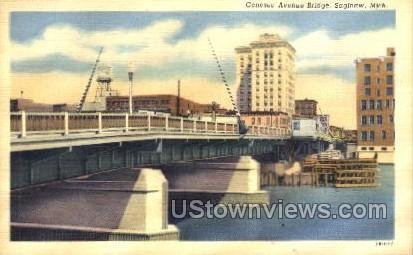 Genesee Avenue Bridge in Saginaw, Michigan