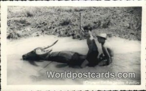 Real Photo Gardien de Buffles Vietnam, Viet Nam Unused 