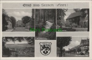 Germany Postcard - Gruss Aus Seesen, Goslar, Lower Saxony RS25567