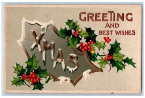 Christmas Postcard Greetings Holly Berries Embossed Springfield Gardens NY