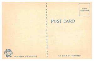 Postcard BUSINESS ACTIVITY SCENE Cape Cod Massachusetts MA AP4457
