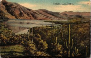 Vtg Coolidge Lake Cactus Scenic View Scene Arizona AZ 1940s Linen Postcard