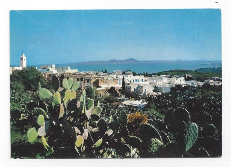 Tunisia Sidi Bou Said Panorama Vue Generale Cacti Postcard