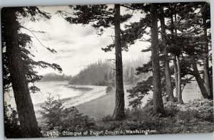 Glimpse of Puget Sound, Washington Vintage Postcard A09 