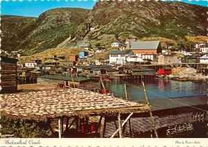 Petty Harbour Newfoundland fishing village Canada Postcard