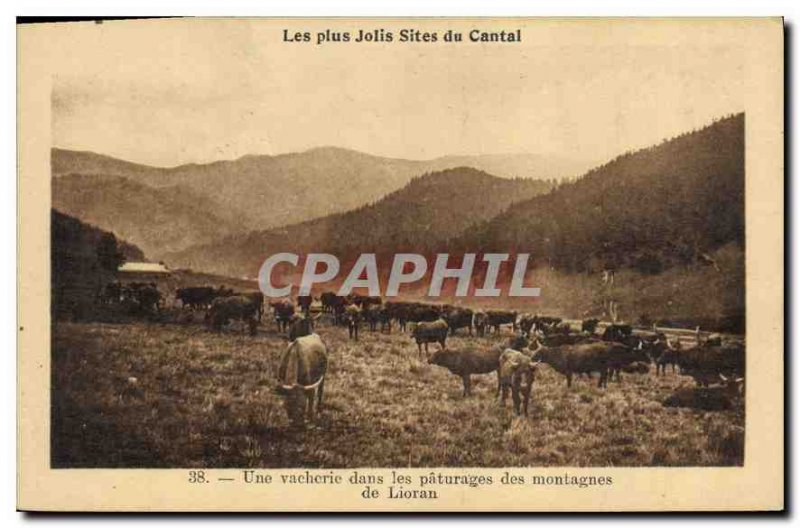 Postcard Old Nice Most sites Cantal A Vacherie in pasture mountains Lioran