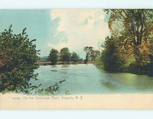 Unused Pre-1907 TREES ALONG CHENANGO RIVER Norwich New York NY t3369