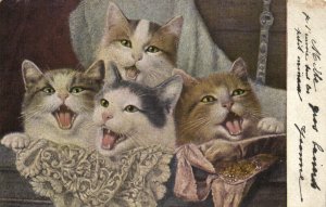 PC CATS, FOUR SLEEPY CATS IN A BED, Vintage Postcard (b47179)