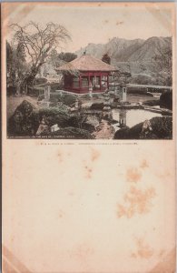 Japan Dainichi Do On The Way Of Chuzenji Nikko Vintage Postcard C218