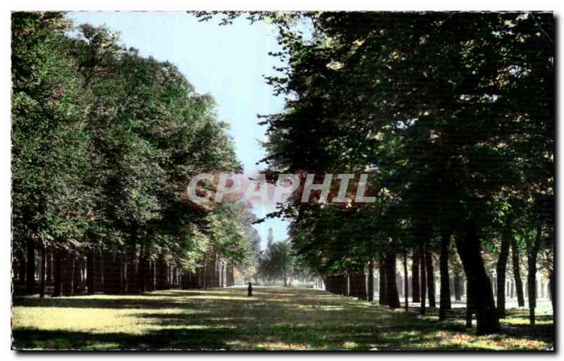 Old Postcard St Quentin Aisne Champs Elysees