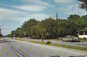 Delaware Rehoboth Beach Looking North On Bayard Avenue