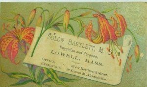 1880's Solon Bartlett Physician & Surgeon Image Of Tiger Lilies P82