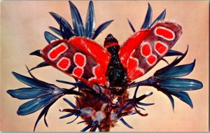 Cornflower and Butterfly Vintage postcard KE10