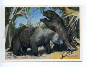 237831 RUSSIA Chevereva Dinosaurs Megatherium old postcard