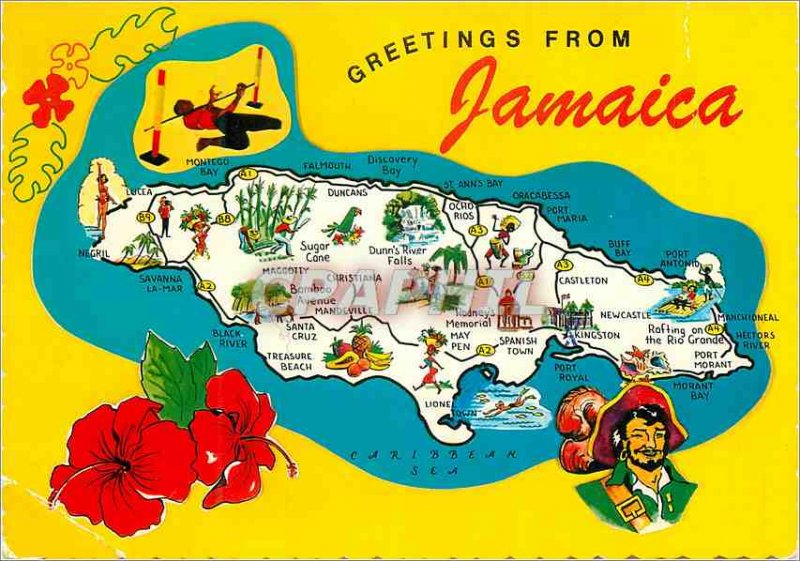 Modern Postcard Greetings from Jamaica in the West Indies