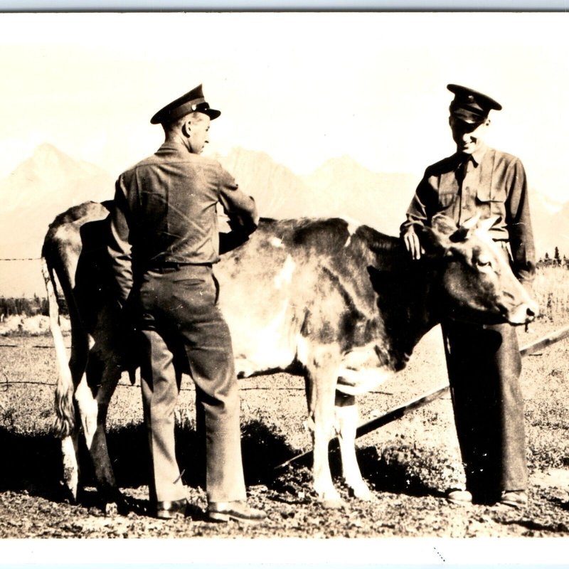 c1940s Military Men Pet Cow RPPC Army Soldier Marine Real Photo Postcard A120