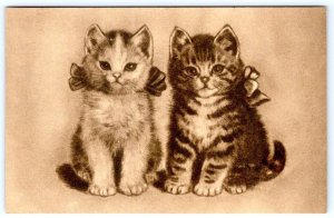 1910's TWO SWEET KITTENS ALBERTYPE POST CARD ENTHUSIASTS ANTIQUE POSTCARD