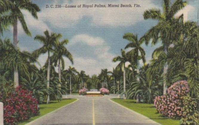 Florida Miami Beach Lanes Of Royal Palms Curteich