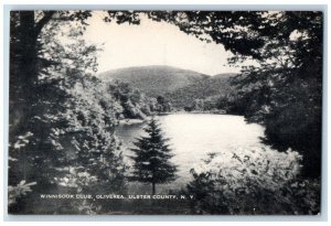 c1940s Winnisook Club Oliverea Ulster County New York NY Unposted Trees Postcard