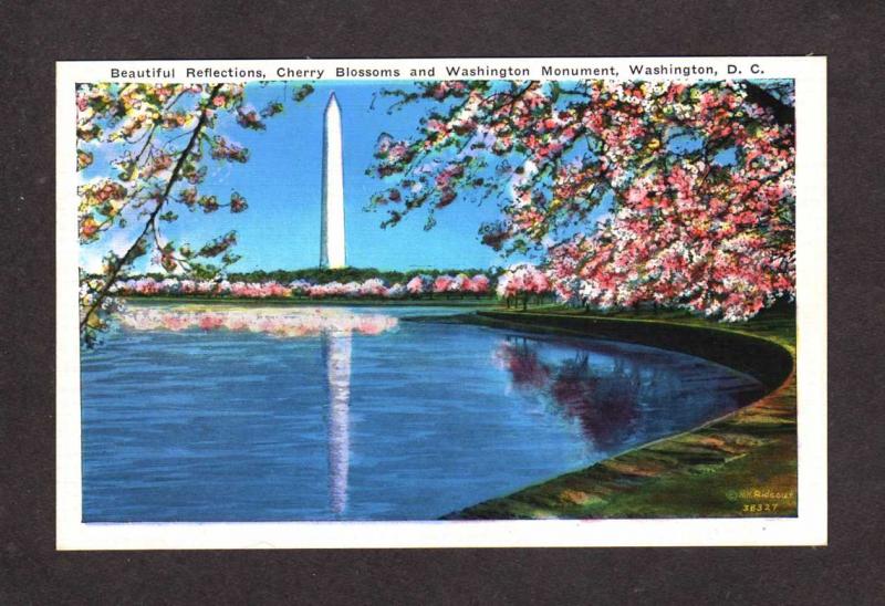 DC Monument Cherry Blossoms Washington DC Postcard Cherry Blossom Tree