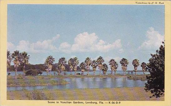 Scene In Venetian Gardens Leesburg Florida Hippostcard