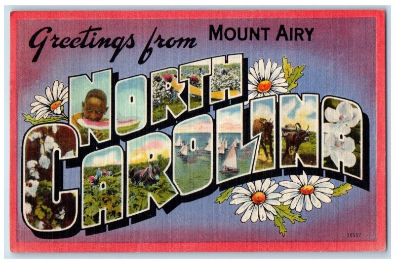 1948 Greetings From Mount Airy North Carolina NC, Large Letters Flowers Postcard