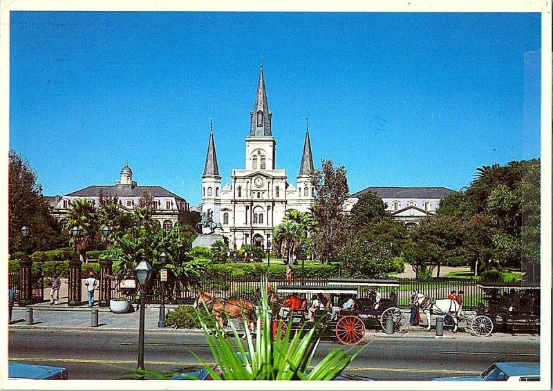 St. Louis Cathedral Jackson Square New Orleans LA Postcard Continental View Card 