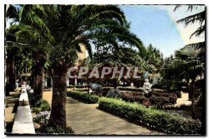 Postcard Old French Riviera Villefranche sur Mer Gardens