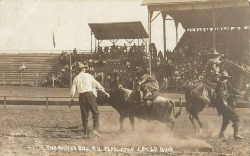 RP: PENDLETON , Oregon , 00-10s ; Bucking Bull