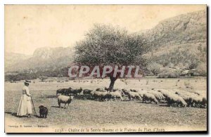 Postcard Old Chain of Sainte Baume and the Plateau map of Aups