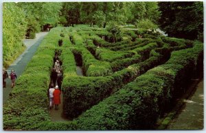 Postcard - The Maze at Hampton Court - Hampton, England